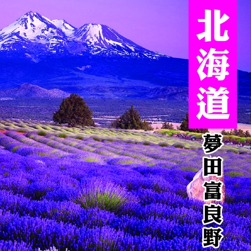 北海道紫色夢田富良野小樽咖啡百萬夜景五天(旭函)