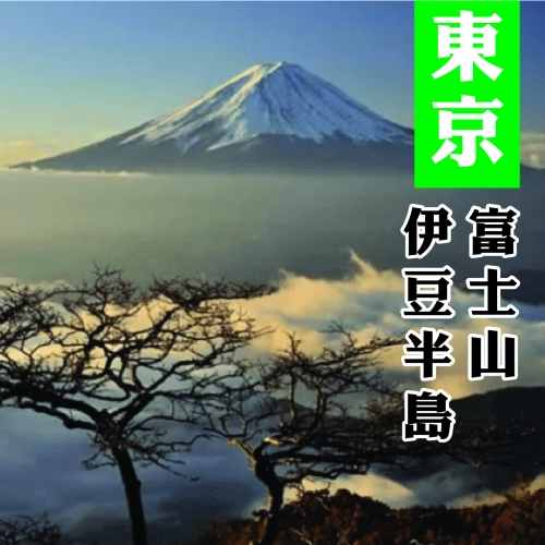 東京伊豆半島河津櫻+熱海梅花祭富士山5日B-8850